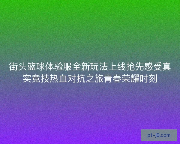 街头篮球体验服全新玩法上线抢先感受真实竞技热血对抗之旅青春荣耀时刻